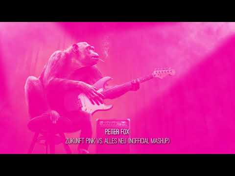 Peter Fox  - Zukunft Pink vs  Alles neu (Inofficial Mashup)