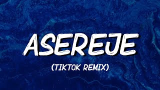 Asereje (TikTok Remix)