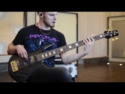 The Hirsch Effekt - "Bezoar" Playthrough: Bass
