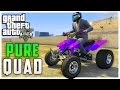 PURE Quad Stock для GTA 5 видео 2