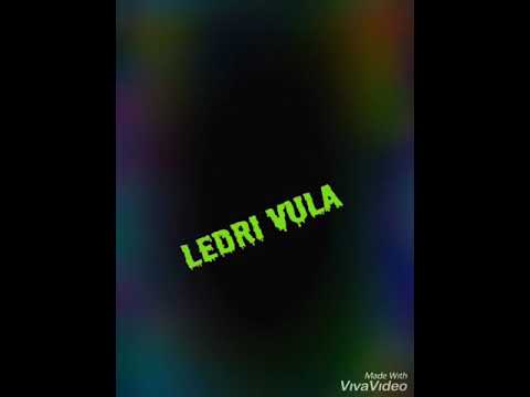 VIG POPPA & LEDRI VULA-MOS E NAL