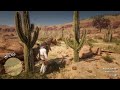 Red Dead Redemption 2_Round and round the mulberry bush...well cactus