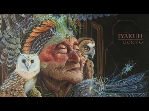 Iyakuh - Ocoyo [Journey Mix] (1hr) Ambient | Organic Chill | Amazonian