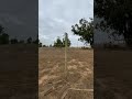 Tour Virtual