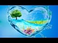 Генератор пси-поля "Источник Жизни" (отрывок) 