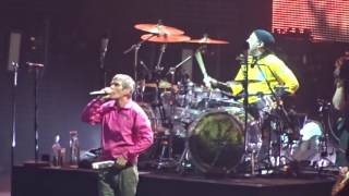Stone Roses - Sally Cinnamon - Etihad Stadium, Manchester - 2016-06-19