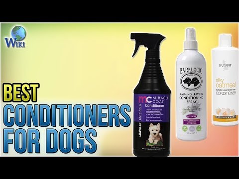 10 Best Conditioners for Dogs 2018