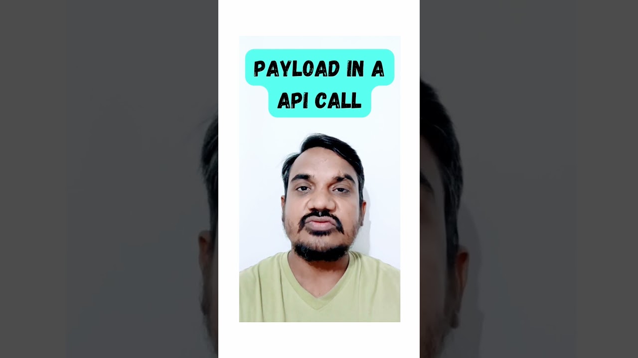 What is payload in API