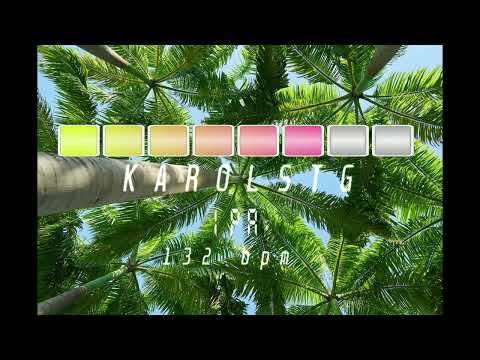 KAROLSTG - iPA 132 bpm 20122025 FL Studio beat #electronicmusic #techno #edm