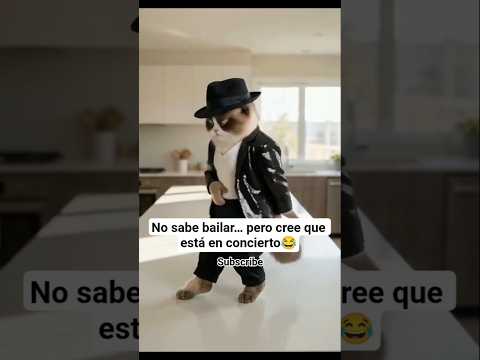 La gata más lista y adorable de Internet #kidimidiofficial #Gatos#GatoLindo#GatosGraciosos#Gatoviral