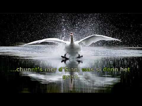 Gölä - Schwan (mit Lyrics)