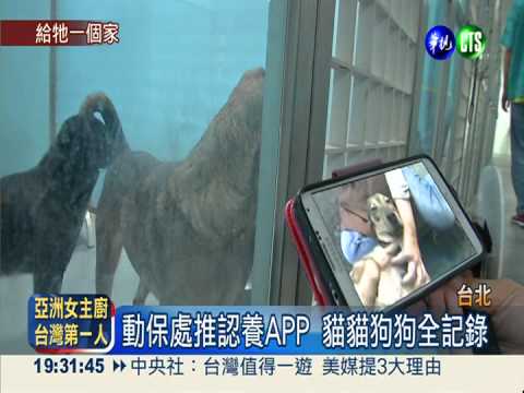 給牠們1個家! 動物認養APP暴紅