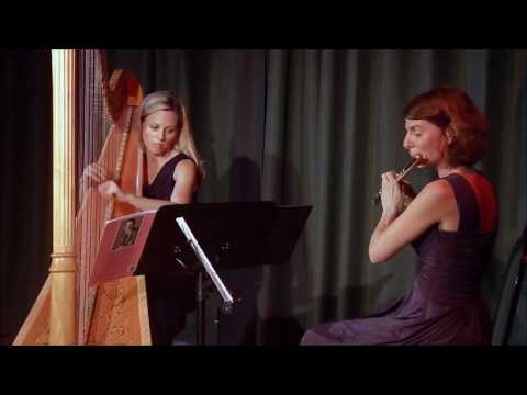 The Amalthea Flute and Harp Duo | Folk Song | LastMinuteMusicians.com