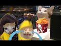 BANANA CAT 🐱 HAPPY AND 😿 CRY VIDEOS #catmemes #cat #bananacat #happycat #fyp