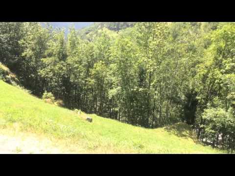 Psalm 84,6 + Psalm 1,3  von Gabriel Loretz