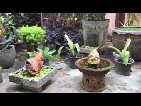 Santitham Garden September 2020