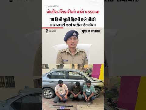 Sheheraમાં પોલીસ-શિકારીઓ વચ્ચે પકડદાવ! 15 કિમી સુધી ફિલ્મી ઢબે પીછો, કાર પલટી જતાં ત્રણેય જેલભેગા