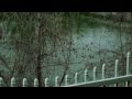 Kenny Wayne Shepherd-Riverside