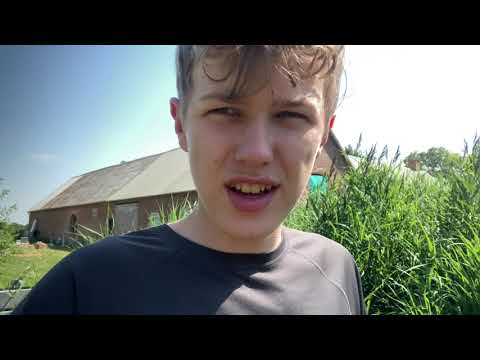 Hedebølge i Danmark 🥵