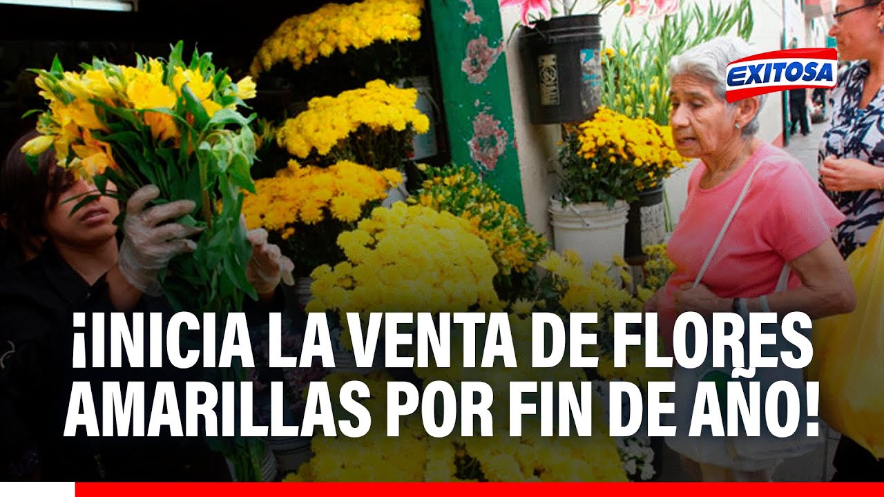 🔴🔵 Año Nuevo: Inicia la venta de FLORES AMARILLAS para recibir el 2026