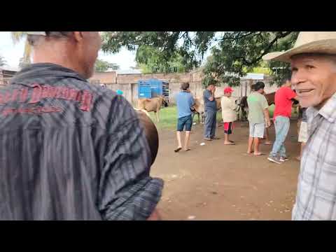 Tiangue de Santa Elena Usulutan 