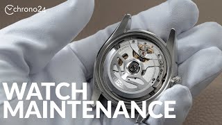 The Ultimate Guide to Watch Maintenance