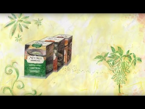 The Story of Numi Organic Tea
