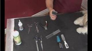 Grooming Long Haired Dogs : Dog Grooming Tools