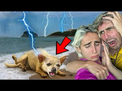 UN FULMINE COLPISCE HOPE? 😱😭