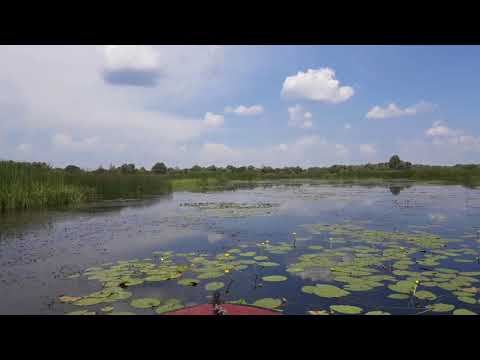 Лодочный мотор-болотоход Motoros MRS-24HP обзор 2