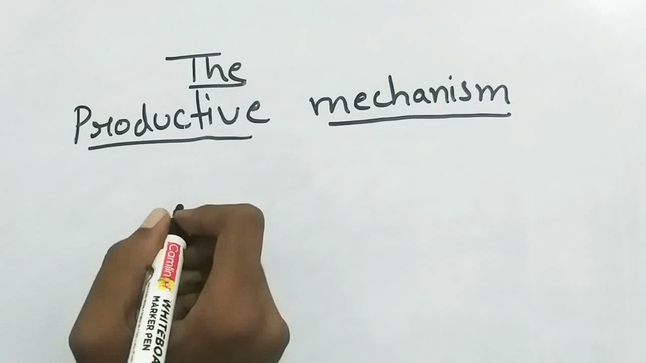The Productive mechanism.  class 10 economic ICSE. Chapter 1 Economics.