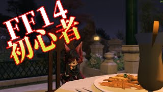 【FF14】最近始めた初心者　蒼天いったのでのんびり色んなことする