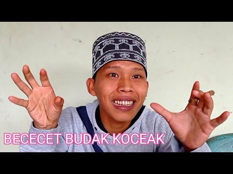 bacecet-budak-koceak