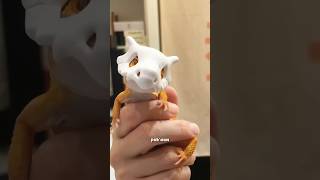 Download lagu Leopard gecko #animals #cute #leopardgecko mp3 Download lagu Leopard gecko #animals #cute #leopardgecko mp3