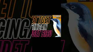 Download lagu Cendet toet toet pancingan cendet bisu #cendettrotol #pancingancendetmalasbunyi mp3 Download lagu Cendet toet toet pancingan cendet bisu #cendettrotol #pancingancendetmalasbunyi mp3