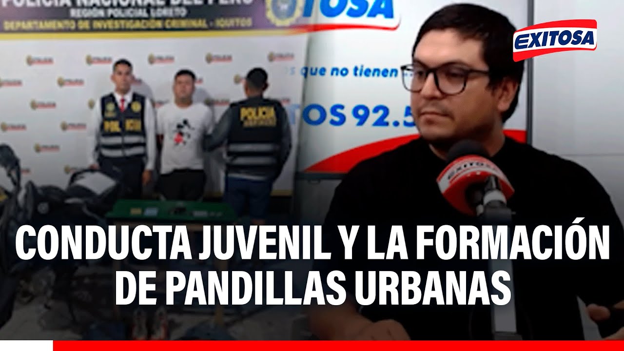 🔴🔵 Conducta juvenil y la formación de pandillas urbanas