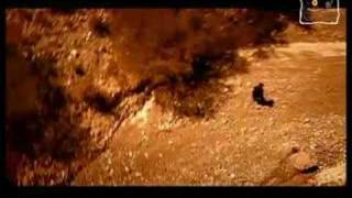 elefante - El abandonao