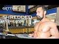 Training To Get Shredded! What My Workouts Look Like