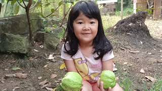 Download lagu NAY PICKING FRUIT | NAY AND FAMILY mp3