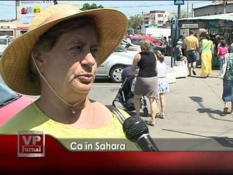 Ca în Sahara