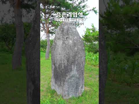 길가에 우뚝 선 역사의 흔적, 상주 증촌리 입석