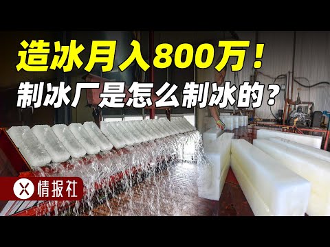 造冰日入20万！揭秘制冰厂是怎么制冰的，为什么这么赚钱