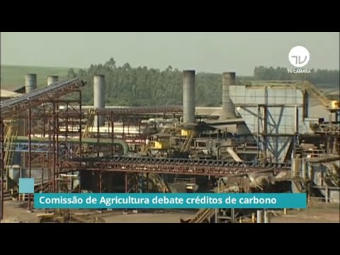 Comissão de Agricultura debate créditos de carbono - 14/10/21