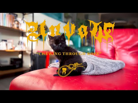 UNVOW - CHEWING THROUGH ROPE [OFFICIAL MUSIC VIDEO] (2023) SW EXCLUSIVE