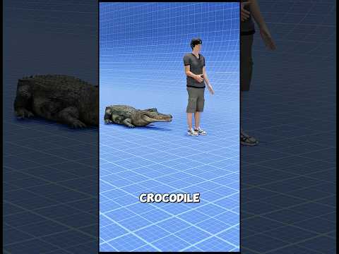 How to Survive a Crocodile Attack 🤯