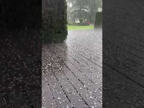 Vasaras vidū pamatīga krusa. Jūrmala 2025. gada 6. augusts