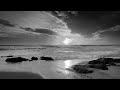 Pamela Williams-Eight Days Of Ecstasy