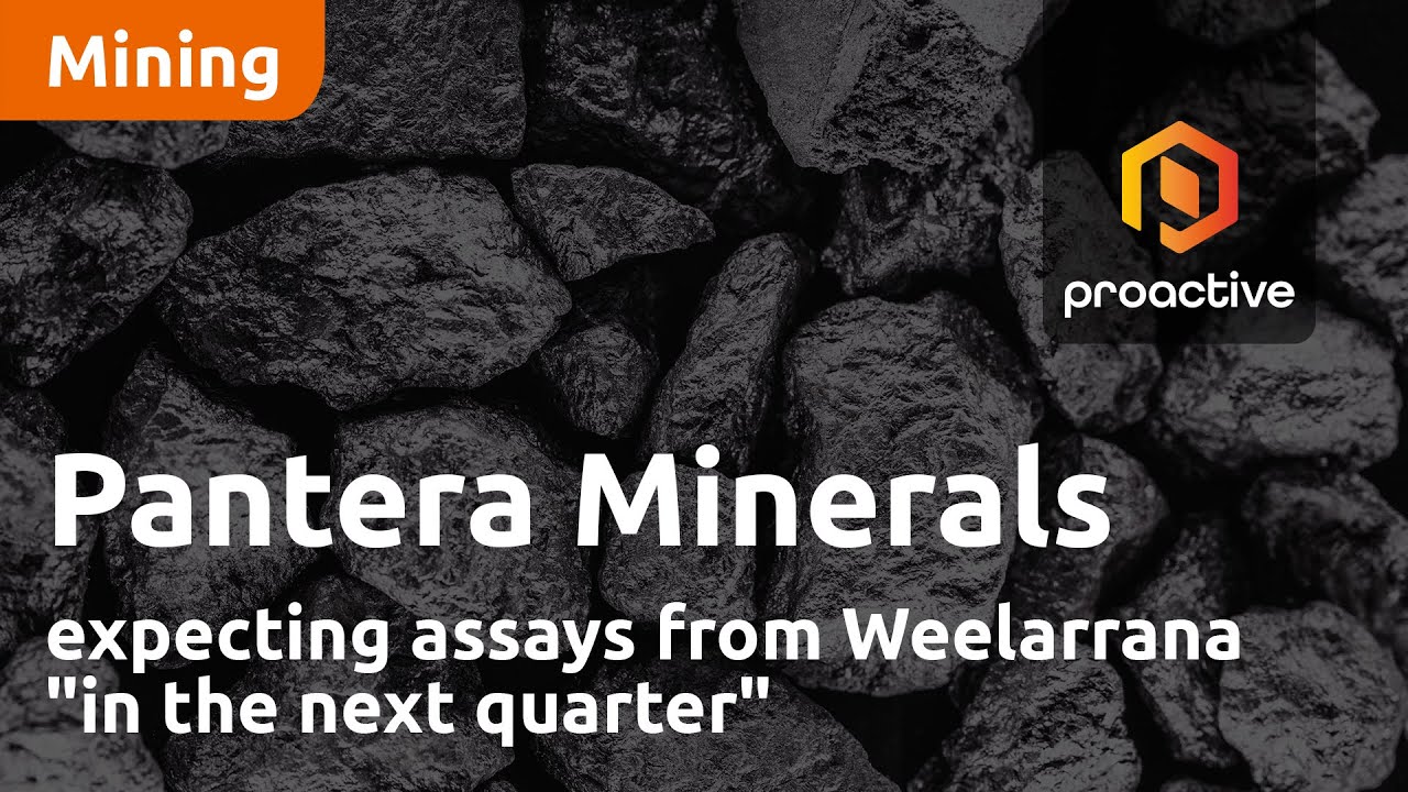 Pantera Minerals expecting assays from Weelarrana "in the next quarter"