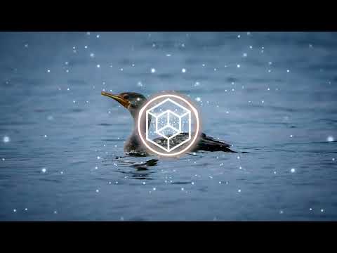 Cooking Show | No-Copyright Music | Happy (FREE DOWNLOAD) Mako Music