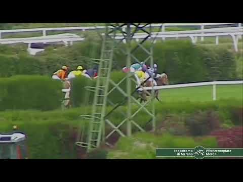 Ippodromo di Merano 11.10.2020 Haflinger